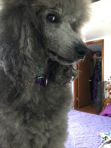 What are you looking at?
