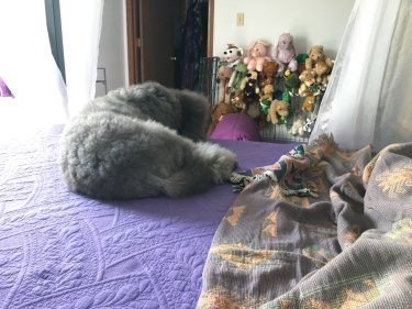 Afternoon nap