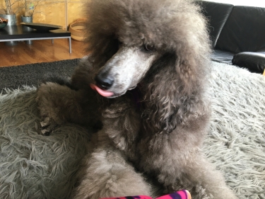 that tongue