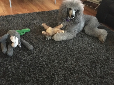 My toys!