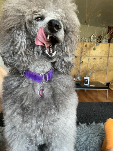 Caught the tongue action again!