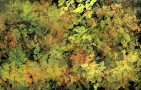 paintings_01-08_12
