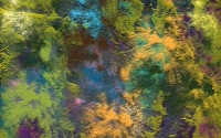 paintings_04_7-15