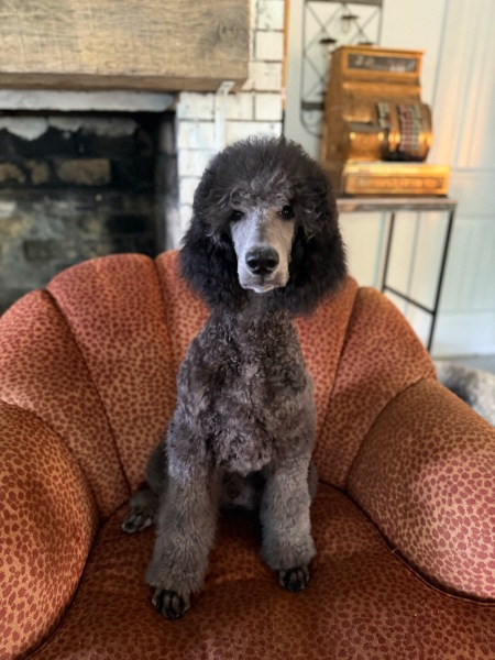 Quentin "orange Boy"