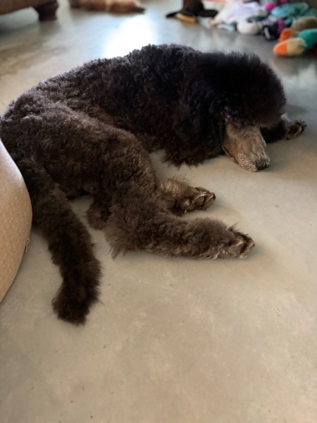 Quentin "Orange Boy"