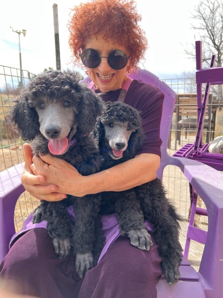 Puppies-10