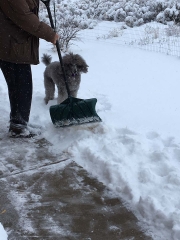 IMG_2192