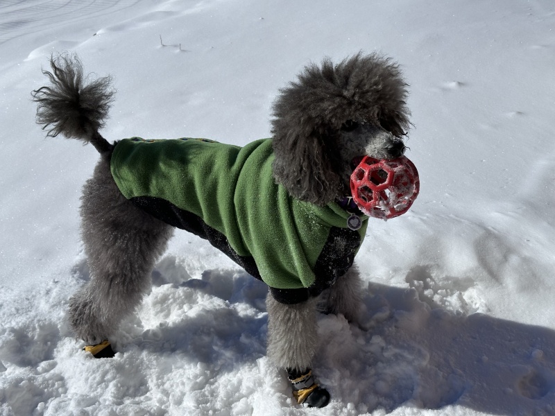 Sierra-1-12-2024-2148