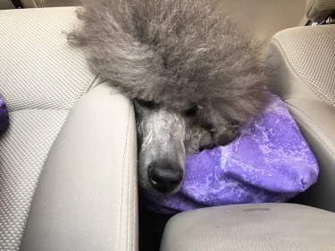 Road Trip!