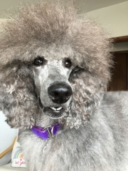 IMG_2282