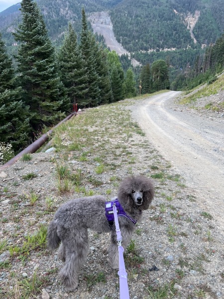 49DE5E4D-B93D-4C57-84CD-5253AF5A2A5D