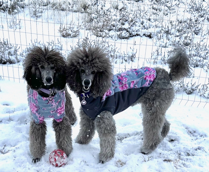 Savanna & Sierra wearing their fleece jackets