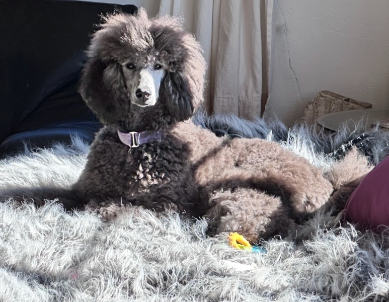 Warm and cozy inside