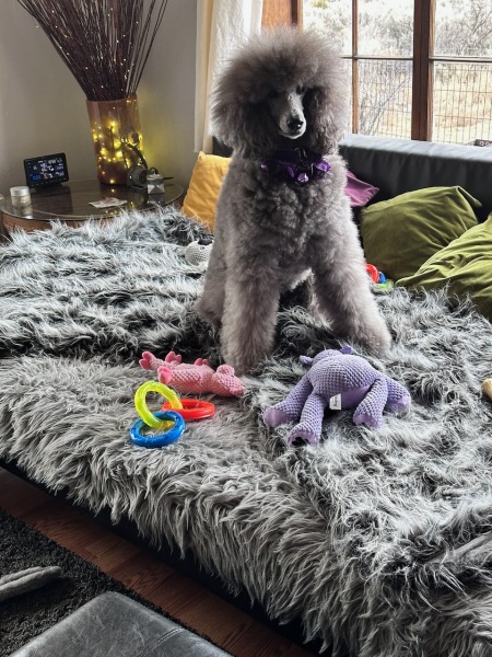 New toys