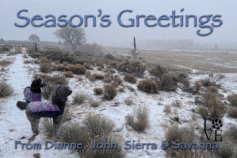 Seasons Greetings December 2025