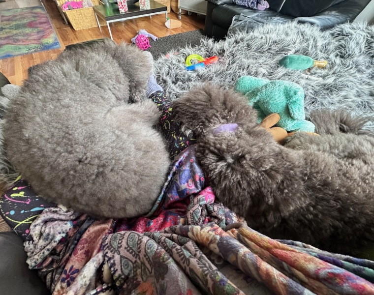 Resting after the holidays