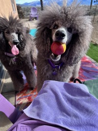 playing together