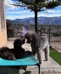 playing together