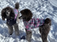 Waiting for the ball to be thrown