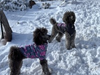 Waiting for the ball to be thrown