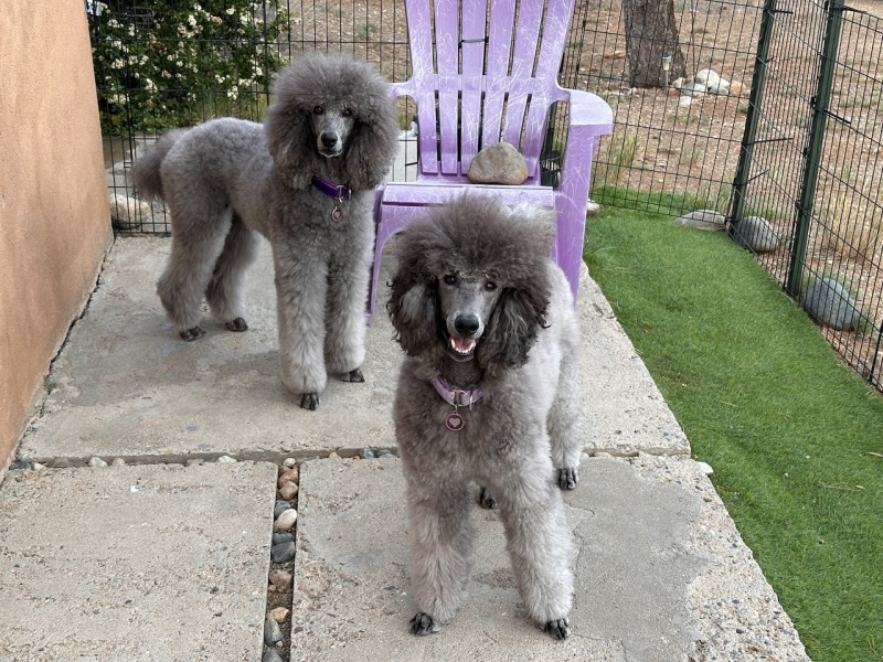 Sierra on the left, Savanna on the right