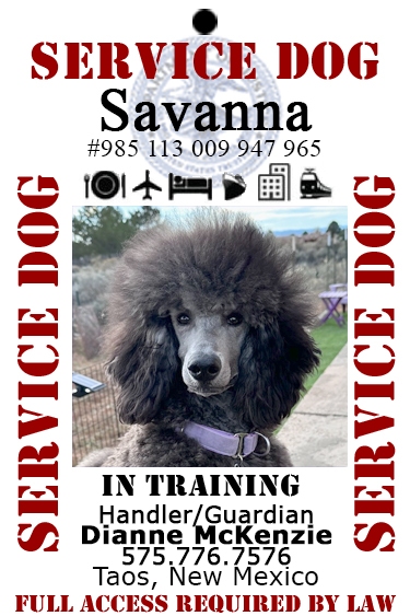 Savanna- Service dog in training