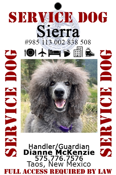 Sierra-Service dog
