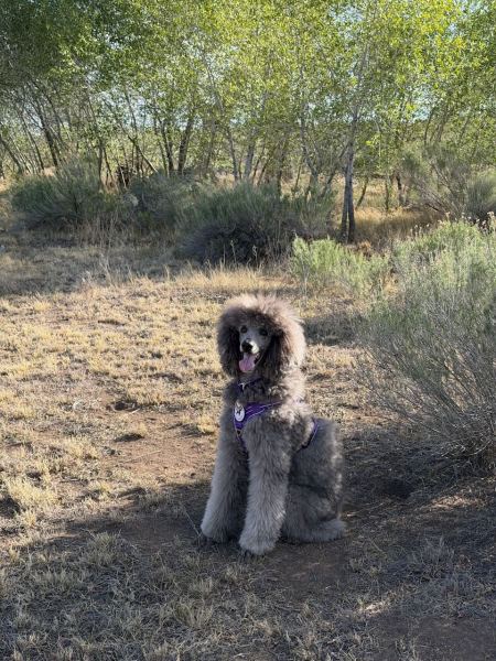 Sierra-May-2026