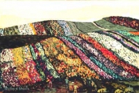 tapestry_02_flower_fields